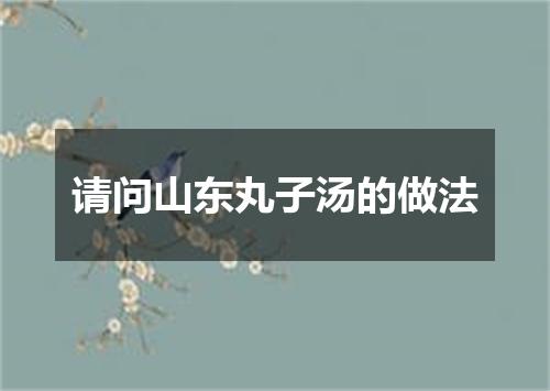 请问山东丸子汤的做法