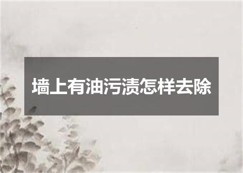 墙上有油污渍怎样去除