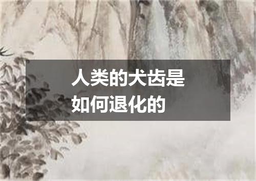 人类的犬齿是如何退化的