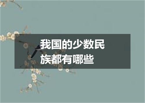 我国的少数民族都有哪些