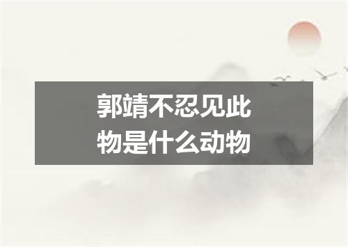 郭靖不忍见此物是什么动物