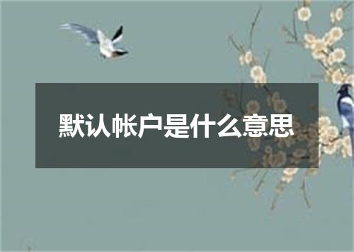 默认帐户是什么意思