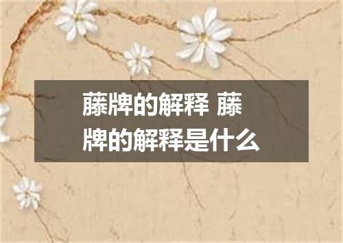 藤牌的解释 藤牌的解释是什么