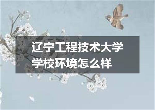 辽宁工程技术大学学校环境怎么样