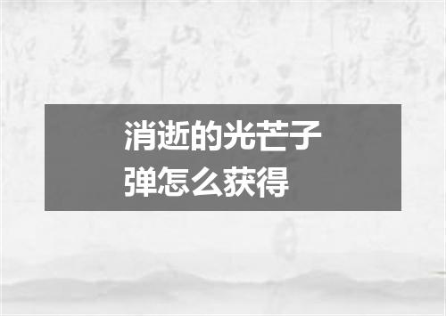 消逝的光芒子弹怎么获得
