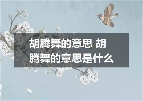 胡腾舞的意思 胡腾舞的意思是什么