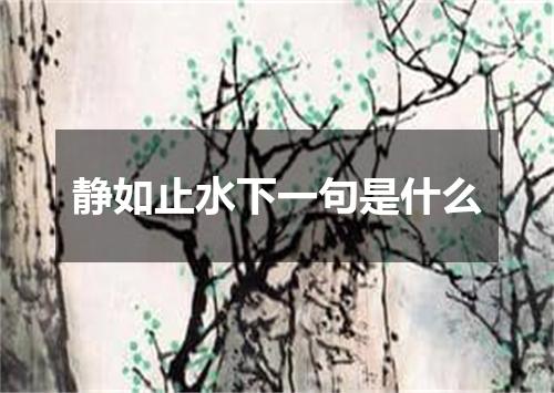 静如止水下一句是什么