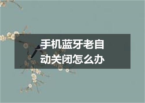 手机蓝牙老自动关闭怎么办