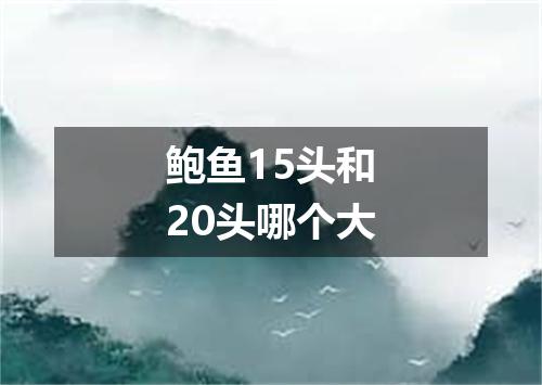 鲍鱼15头和20头哪个大