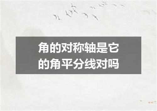 角的对称轴是它的角平分线对吗