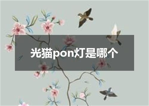 光猫pon灯是哪个
