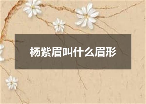 杨紫眉叫什么眉形