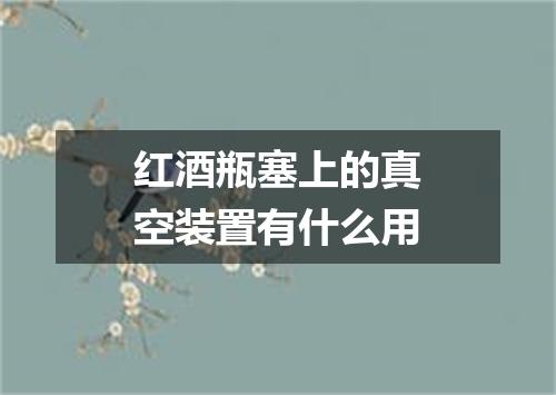 红酒瓶塞上的真空装置有什么用