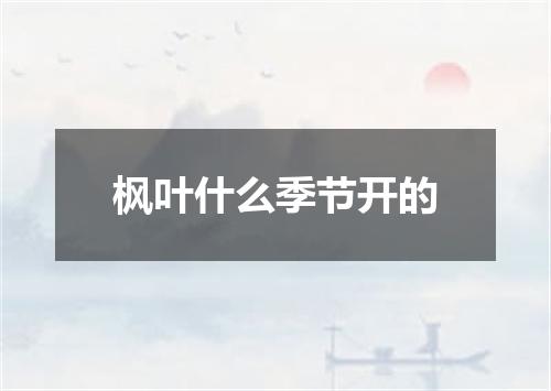 枫叶什么季节开的