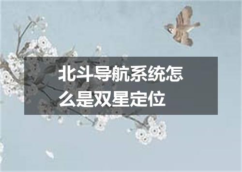 北斗导航系统怎么是双星定位