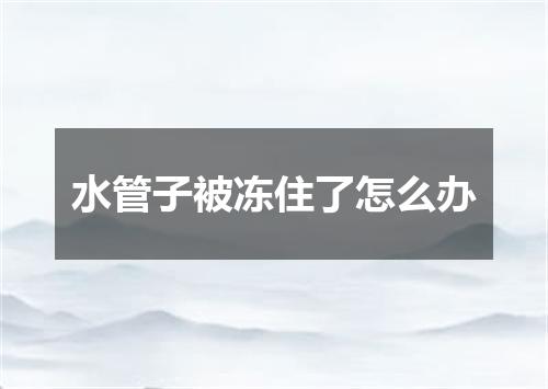 水管子被冻住了怎么办