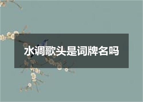 水调歌头是词牌名吗