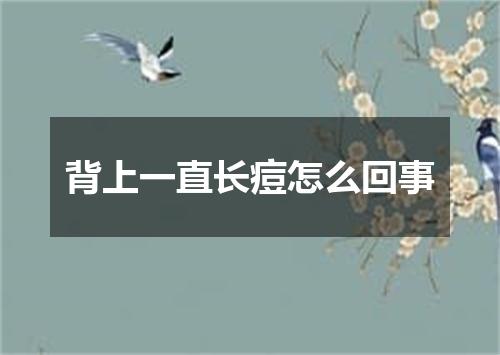 背上一直长痘怎么回事