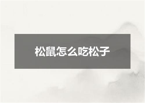 松鼠怎么吃松子
