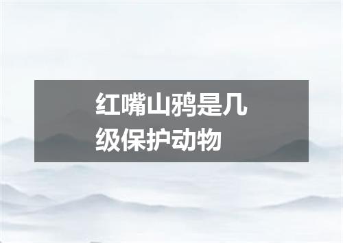 红嘴山鸦是几级保护动物