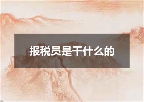 报税员是干什么的