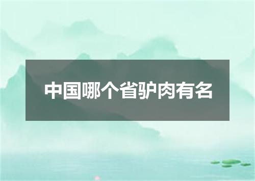 中国哪个省驴肉有名
