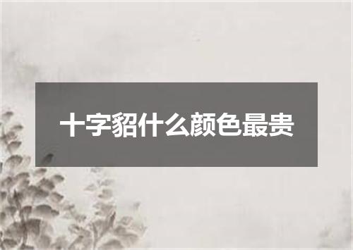 十字貂什么颜色最贵