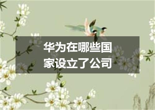 华为在哪些国家设立了公司