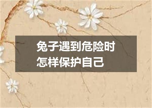 兔子遇到危险时怎样保护自己