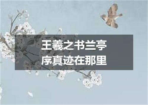 王羲之书兰亭序真迹在那里