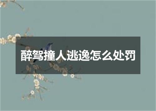 醉驾撞人逃逸怎么处罚