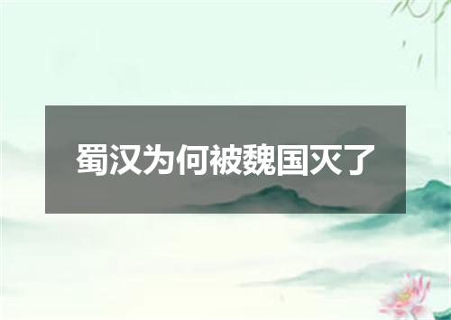 蜀汉为何被魏国灭了