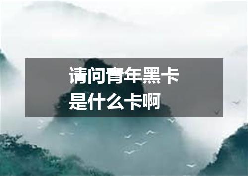 请问青年黑卡是什么卡啊