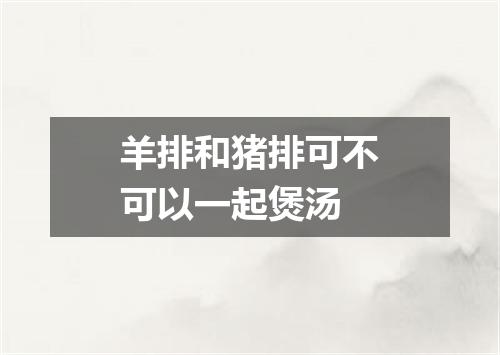 羊排和猪排可不可以一起煲汤