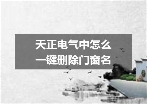 天正电气中怎么一键删除门窗名