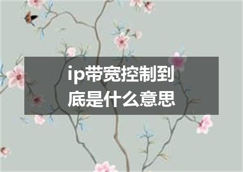 ip带宽控制到底是什么意思