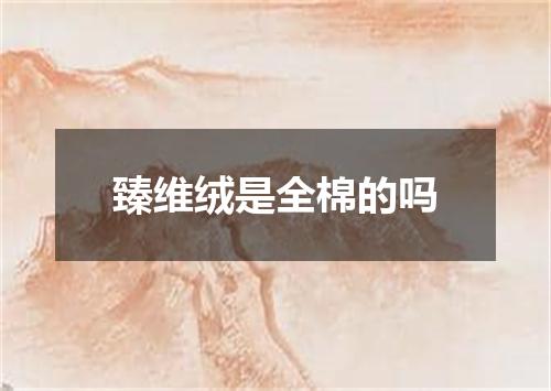 臻维绒是全棉的吗