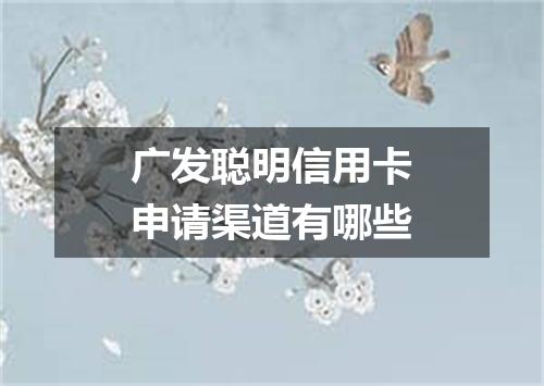 广发聪明信用卡申请渠道有哪些