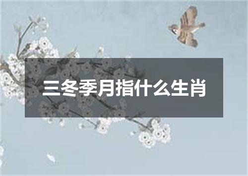 三冬季月指什么生肖