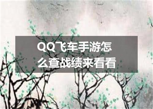 QQ飞车手游怎么查战绩来看看
