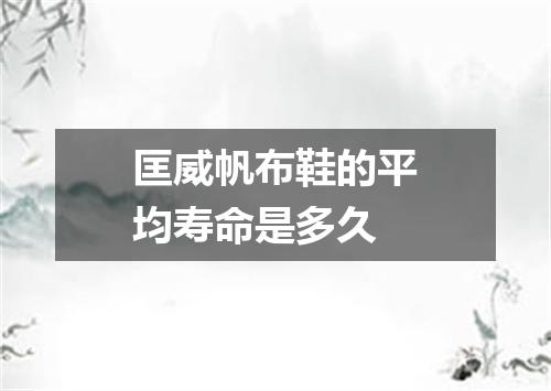 匡威帆布鞋的平均寿命是多久