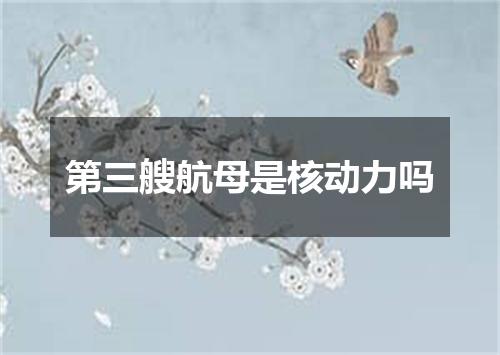 第三艘航母是核动力吗