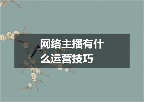 网络主播有什么运营技巧