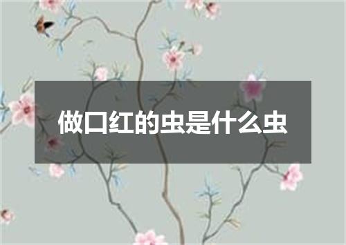 做口红的虫是什么虫