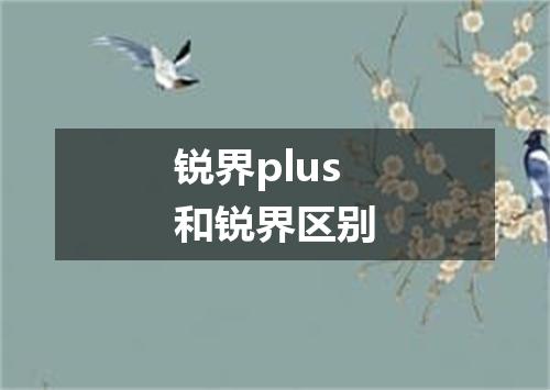 锐界plus和锐界区别