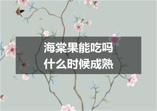 海棠果能吃吗什么时候成熟