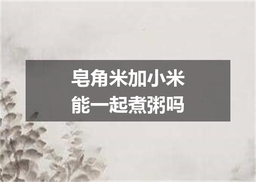 皂角米加小米能一起煮粥吗