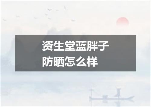 资生堂蓝胖子防晒怎么样