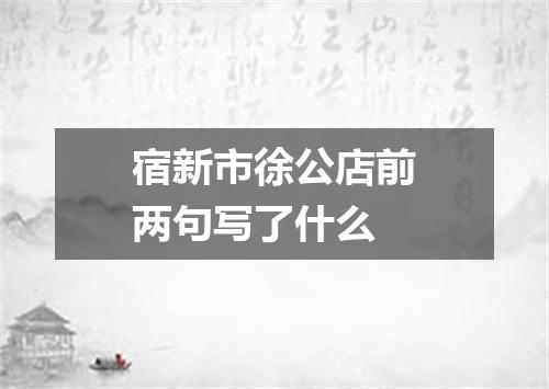 宿新市徐公店前两句写了什么
