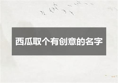 西瓜取个有创意的名字